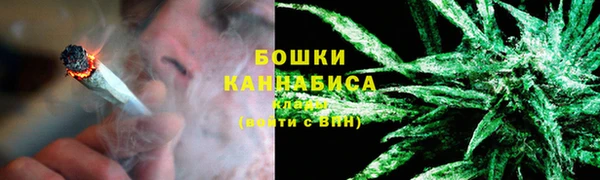 ГАЛЛЮЦИНОГЕННЫЕ ГРИБЫ Вязники